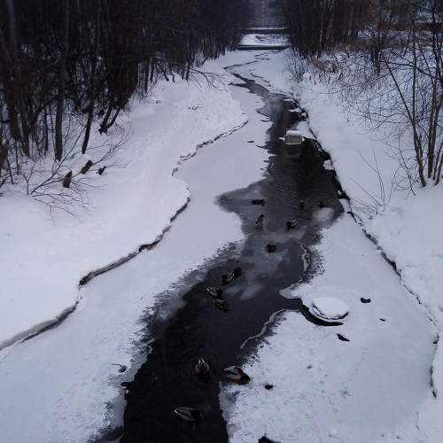 Photo #7135196