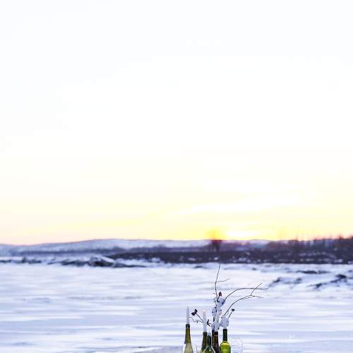 Photo #7135496