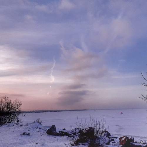 Photo #7135702