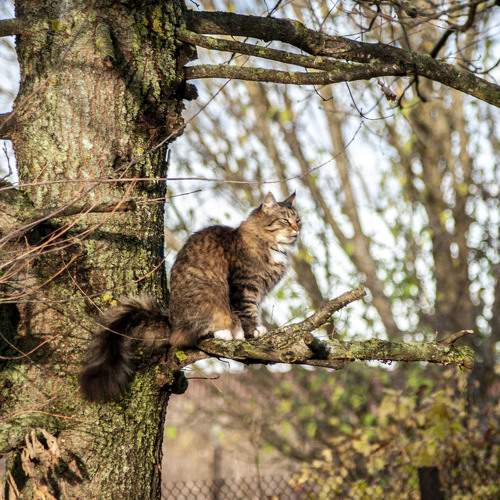 Photo #7135834