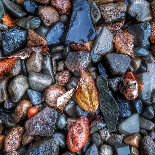 Photo #7135879