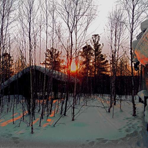 Photo #7135969