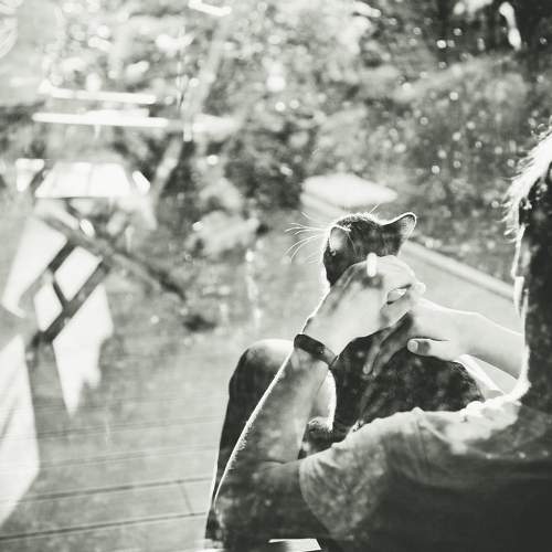 Photo #7135978