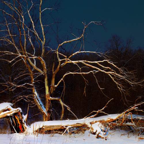 Photo #7136008
