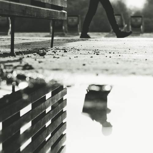 Photo #7136050