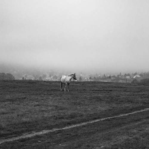 Photo #7136322