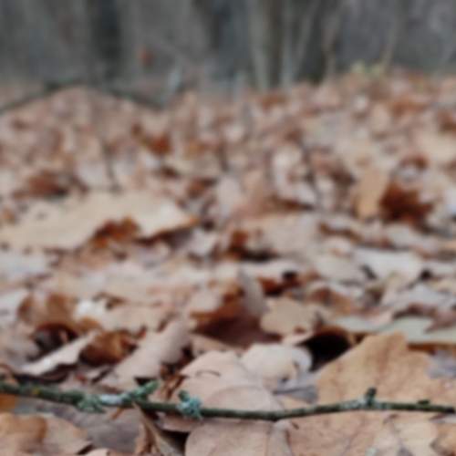 Photo #7136553