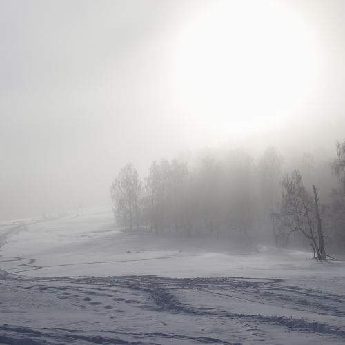 Photo #7136760