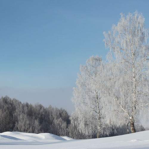 Photo #7136761