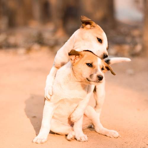 Photo #7136871