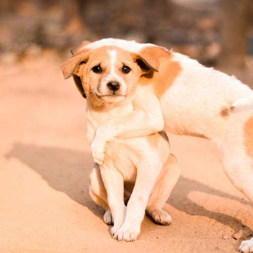 Photo #7136902