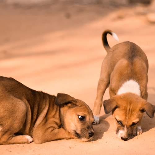 Photo #7136934