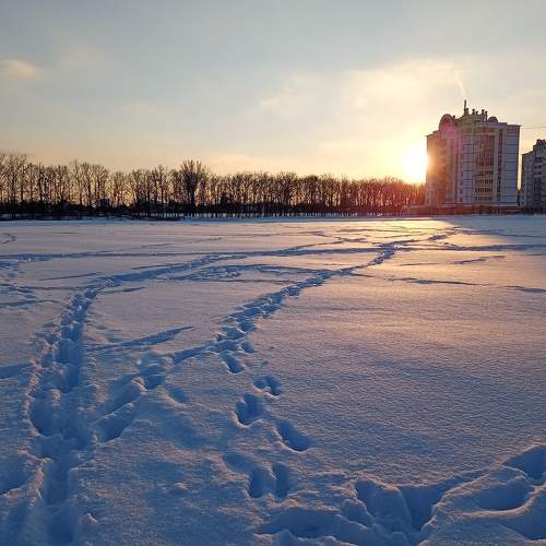 Photo #7136992
