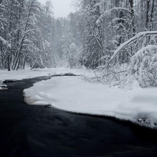 Photo #7137167