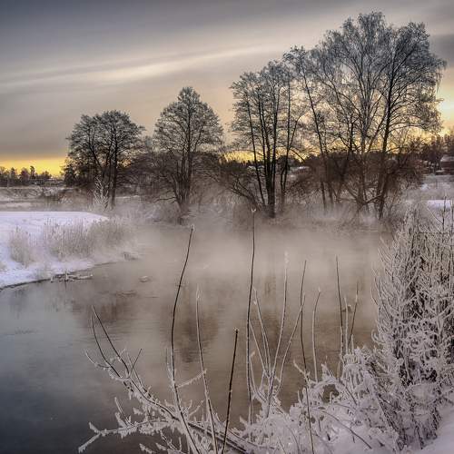 Photo #7137173