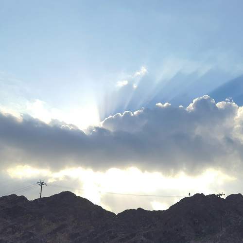 Photo #7137254