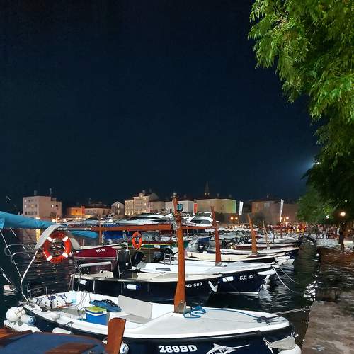 Photo #7137343