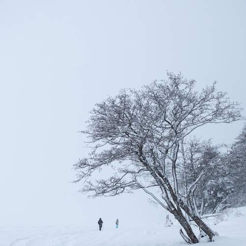 Photo #7137573