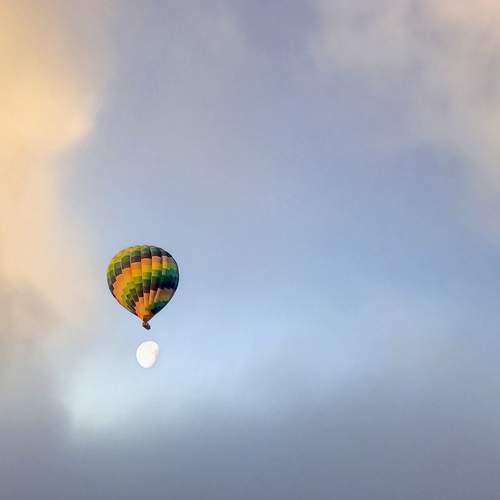 Photo #7137721