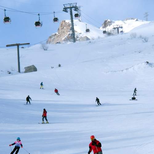 Photo #7137732