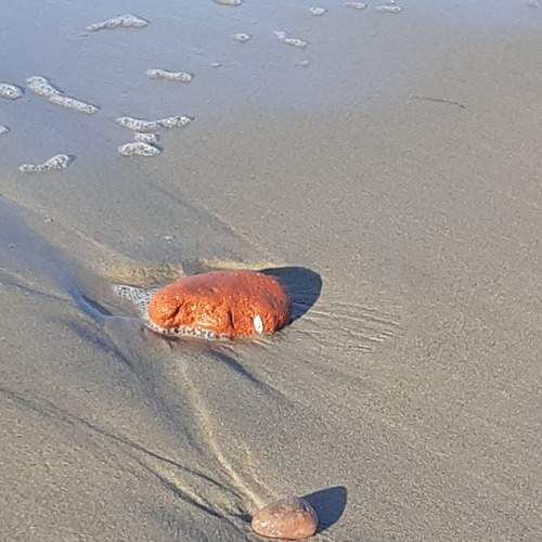 Photo #7137734