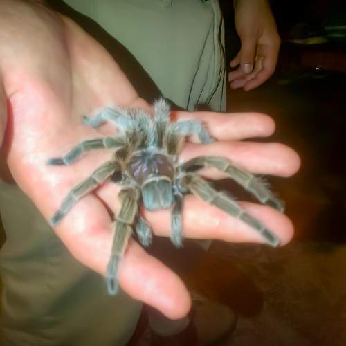 Photo #7137773
