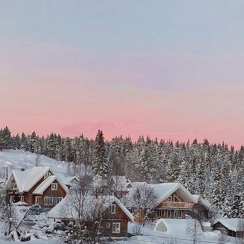 Photo #7137946