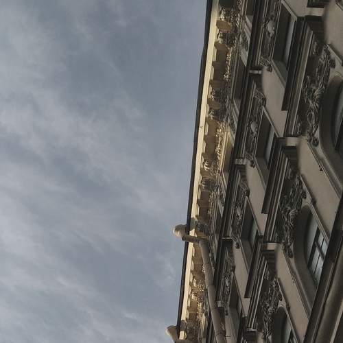 Photo #7138002