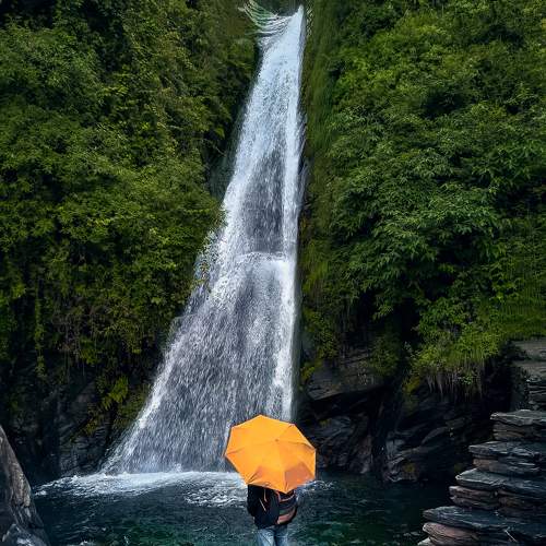 Photo #7138788