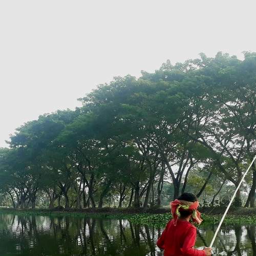 Photo #7138819