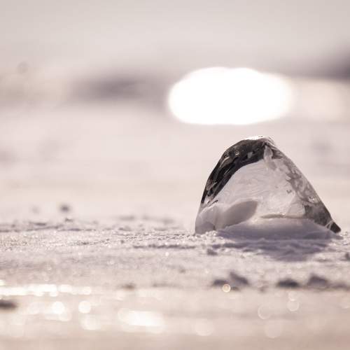 Photo #7139092