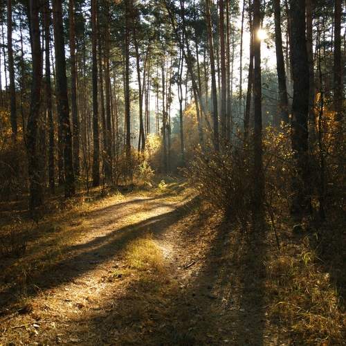 Photo #7139442