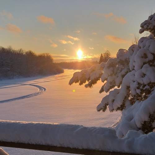 Photo #7139614