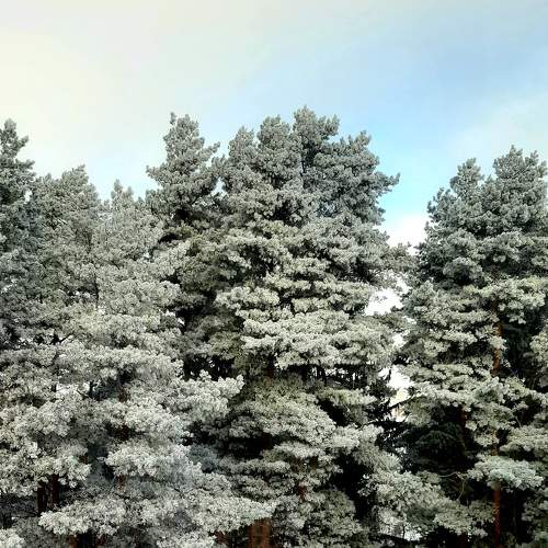 Photo #7139664