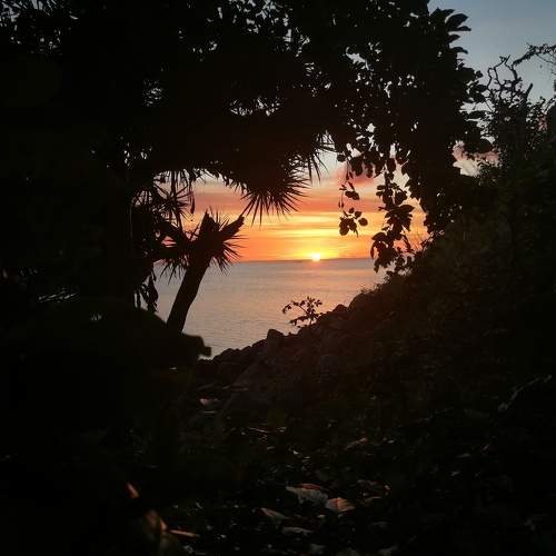 Photo #7139707