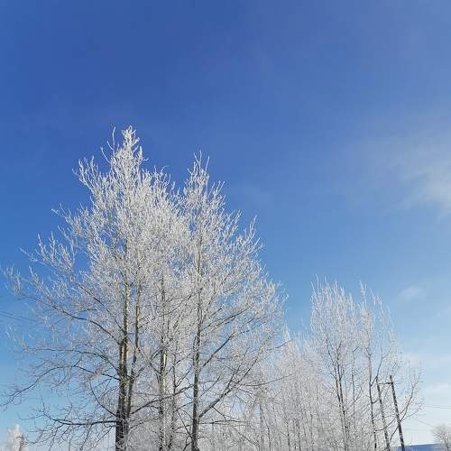 Photo #7139760