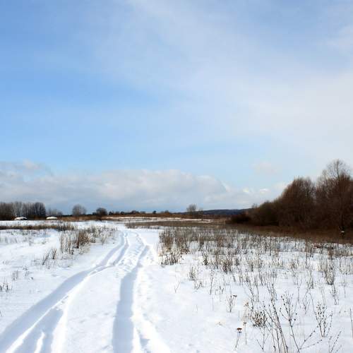 Photo #7140134