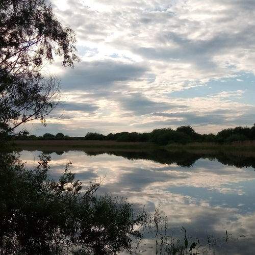 Photo #7140181