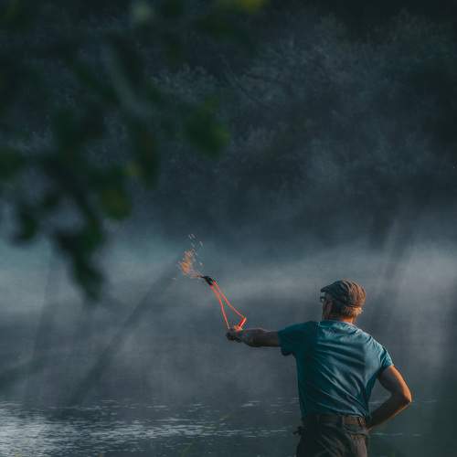 Photo #7140351