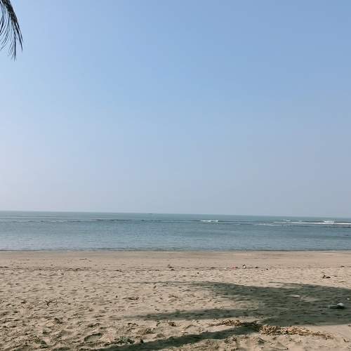 Photo #7140575