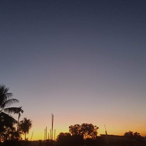 Photo #7140576
