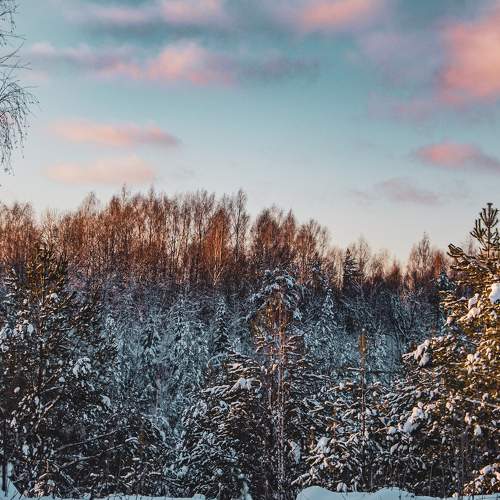 Photo #7140654