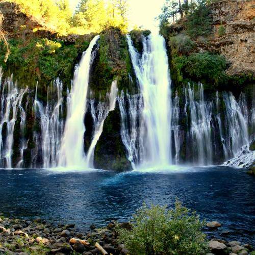 Photo #7140820