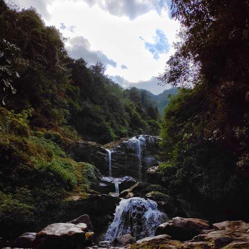 Photo #7140975