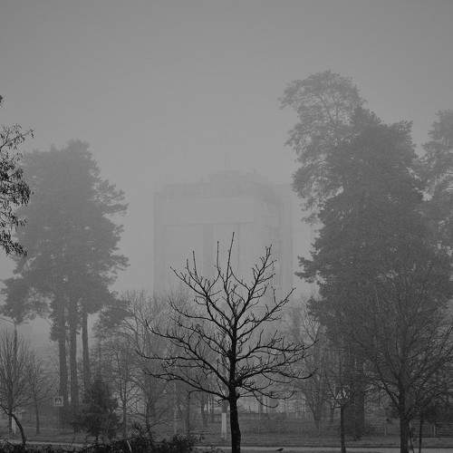 Photo #7141008