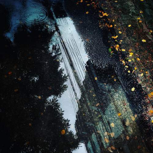 Photo #7141081