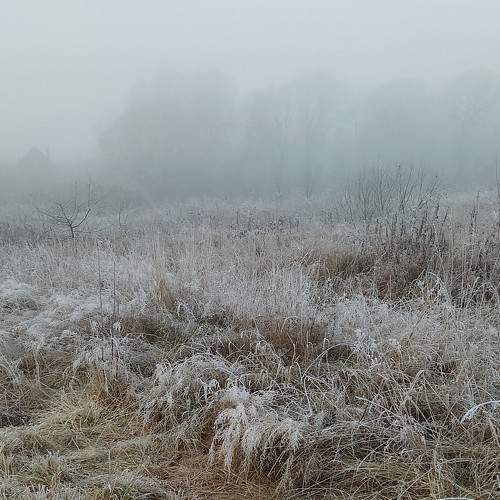Photo #7141191