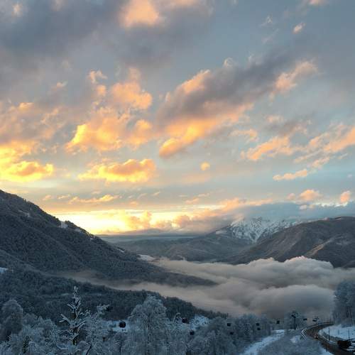 Photo #7141302
