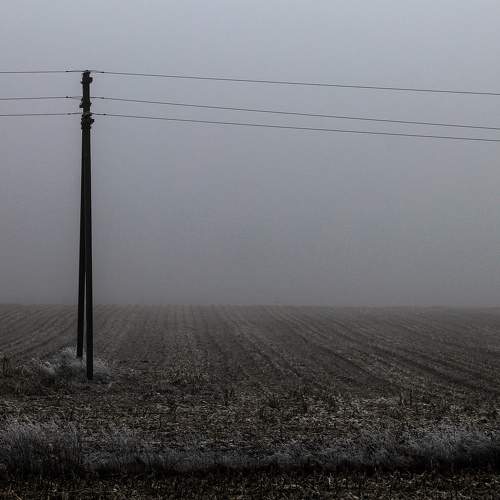 Photo #7141307