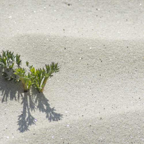 Photo #7141510